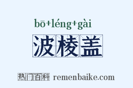 波棱盖是什么意思的图片